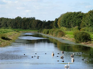 Angelgewässer in der Nähe des Ferienhauses